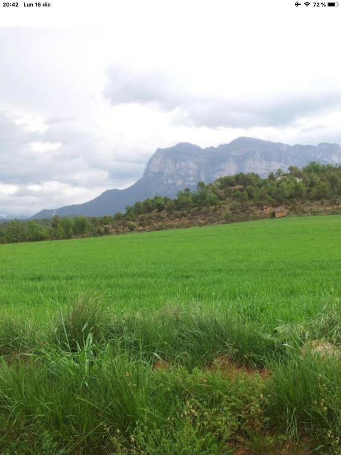 Preciosas Vistas A La Montana, Luminoso Y Acogedor Lägenhet El Pueyo de Araguás Exteriör bild