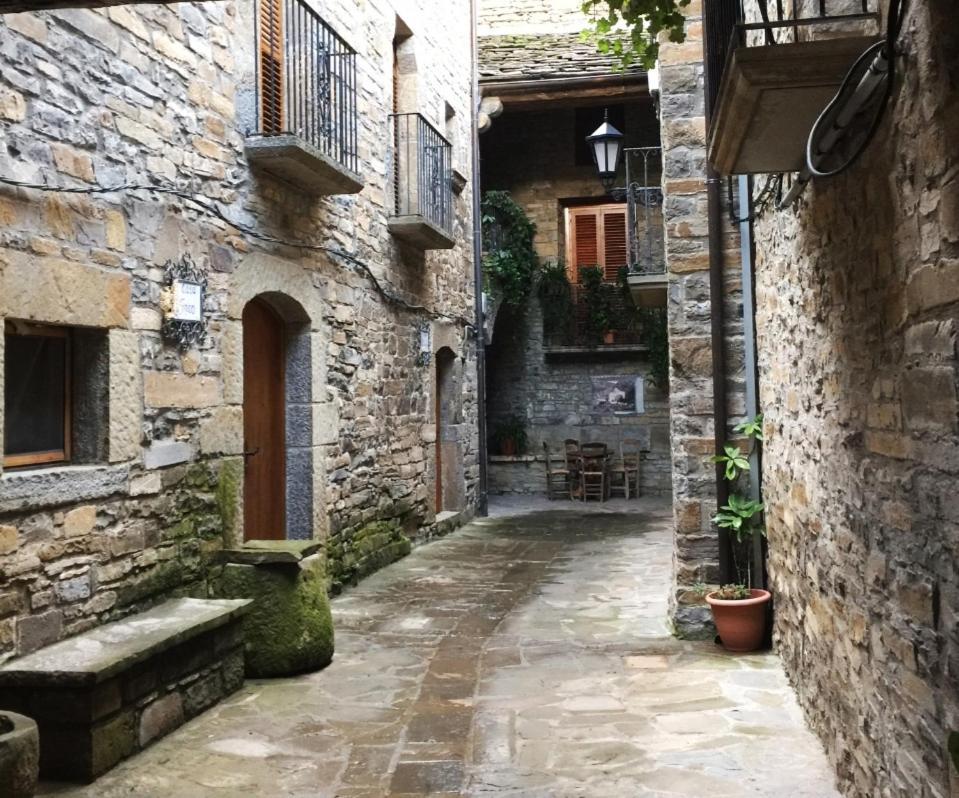 Preciosas Vistas A La Montana, Luminoso Y Acogedor Lägenhet El Pueyo de Araguás Exteriör bild