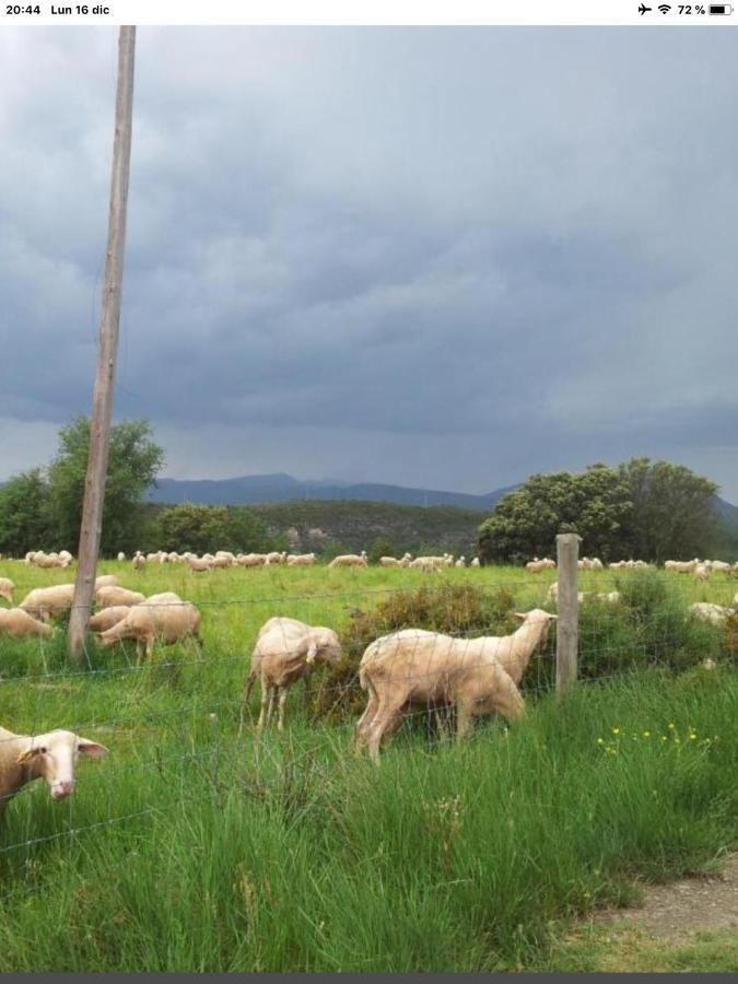 Preciosas Vistas A La Montana, Luminoso Y Acogedor Lägenhet El Pueyo de Araguás Exteriör bild
