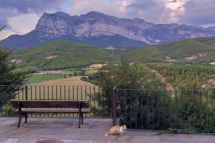 Preciosas Vistas A La Montana, Luminoso Y Acogedor Lägenhet El Pueyo de Araguás Exteriör bild