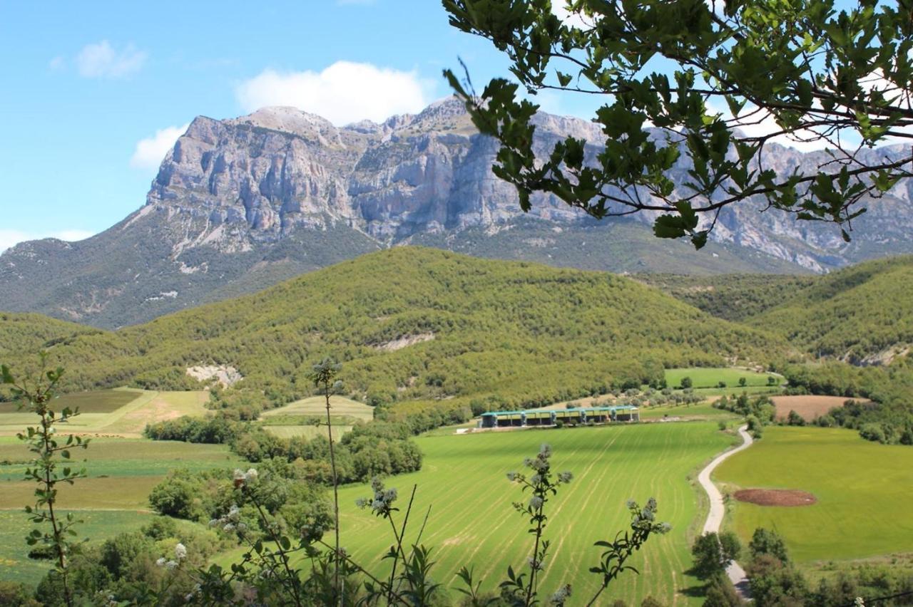 Preciosas Vistas A La Montana, Luminoso Y Acogedor Lägenhet El Pueyo de Araguás Exteriör bild