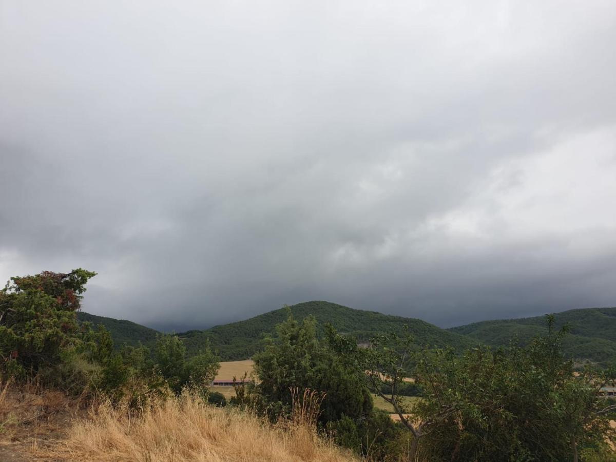 Preciosas Vistas A La Montana, Luminoso Y Acogedor Lägenhet El Pueyo de Araguás Exteriör bild